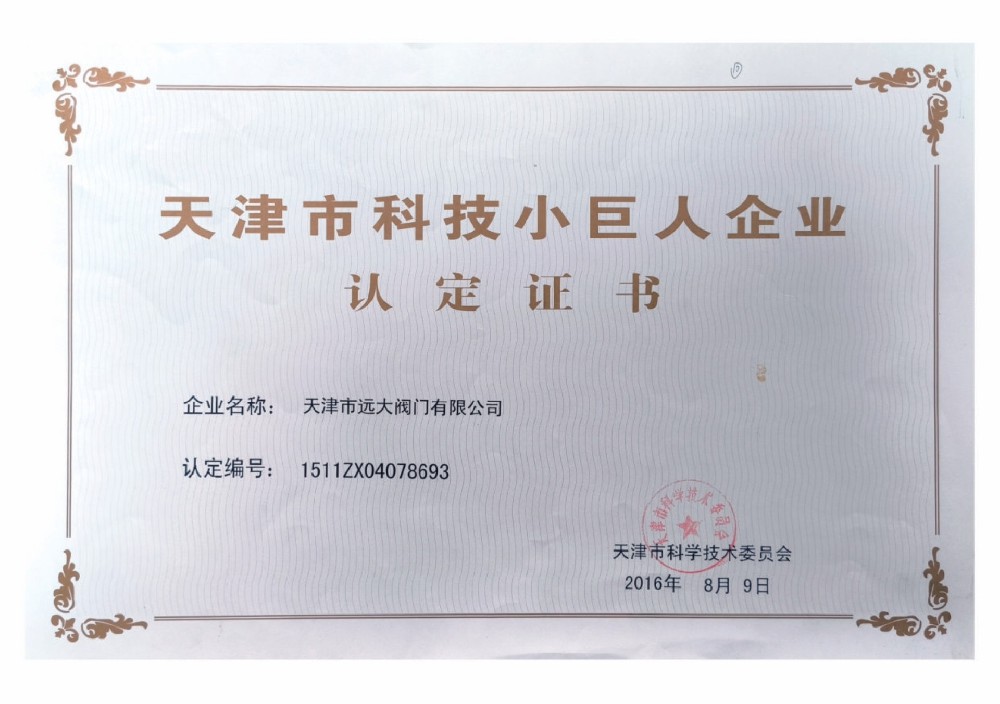天津市科技小巨人企业认定证书