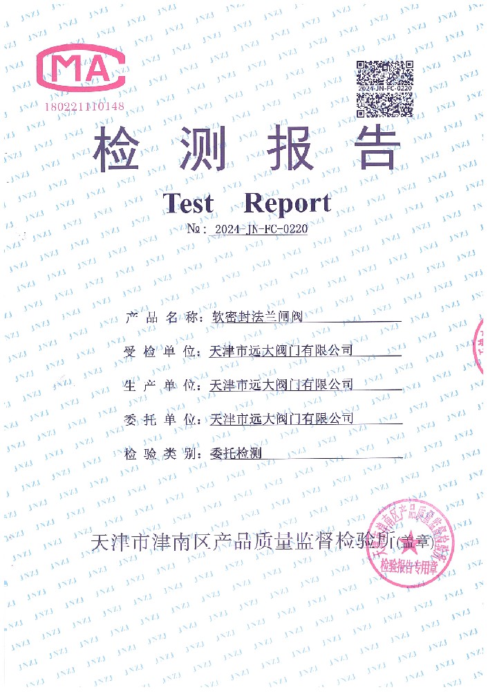 检验报告 软密封法兰闸阀