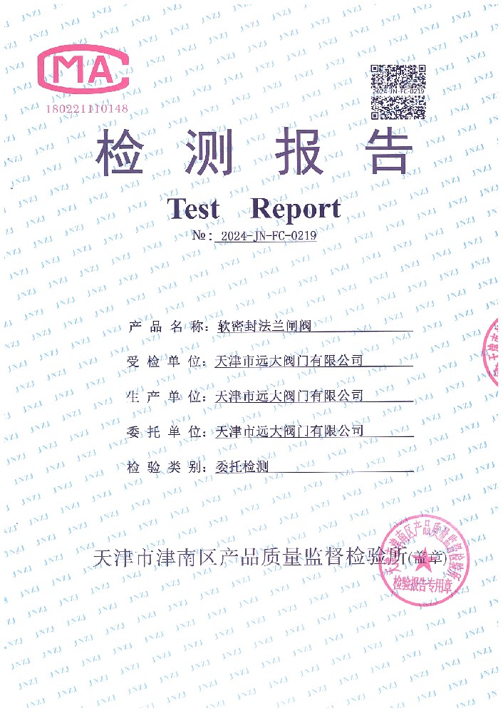 检验报告 软密封法兰闸阀