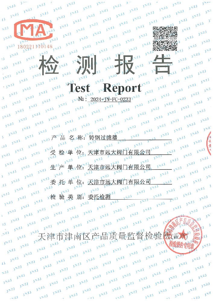 检验报告 铸钢过滤器